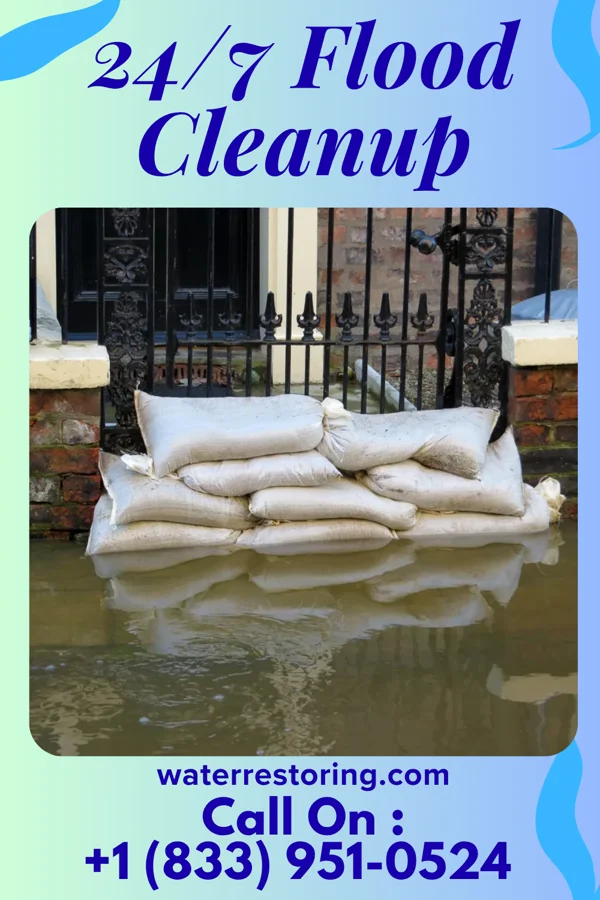 24/7 Flood Cleanup in Frytown, IA